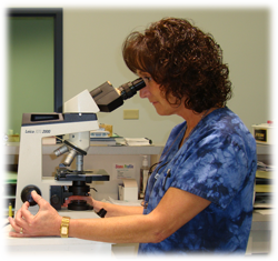 Lab Photo